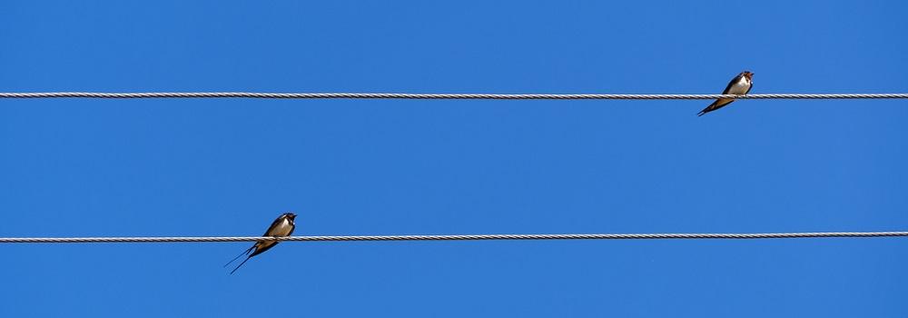 diferencia-entre-comercializadora-y-distribuidora-de-electricidad