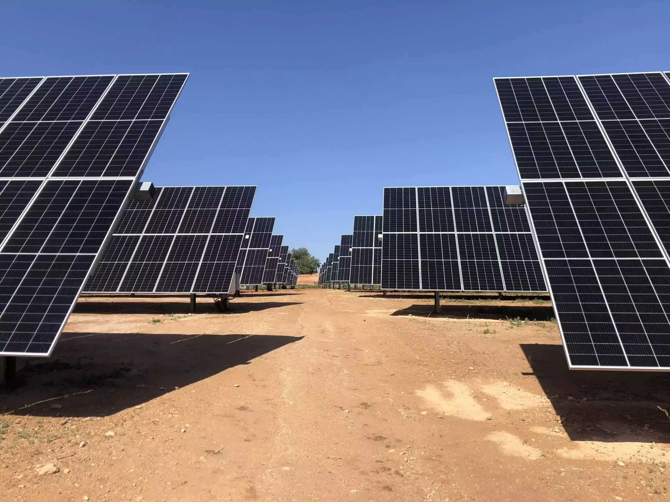 paneles solares en un parque de totalenergies