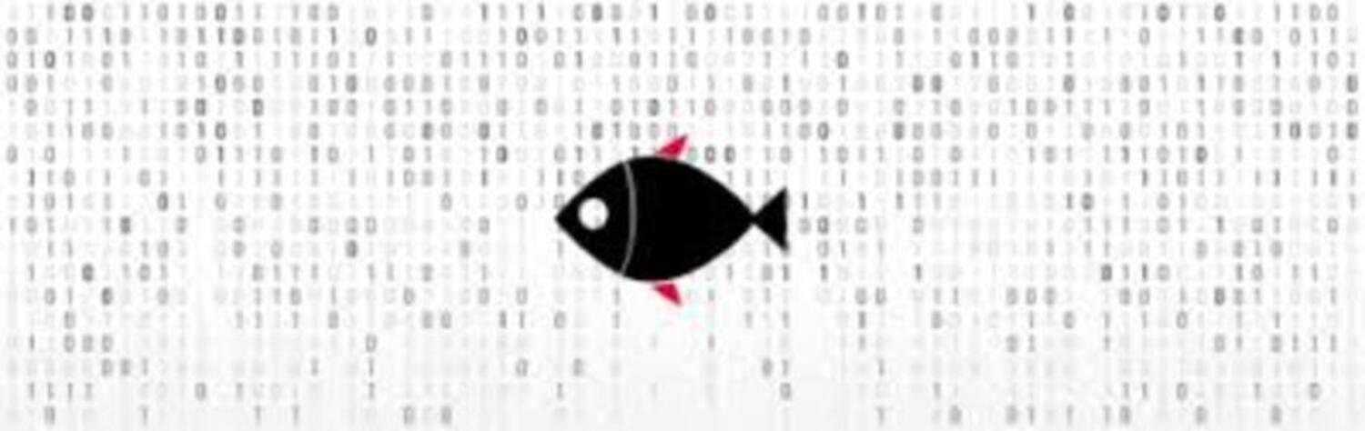 phising y código binario